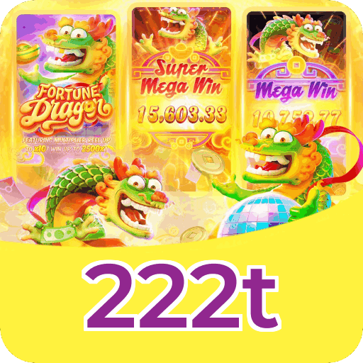 Termos e Condições Transparentes 222t